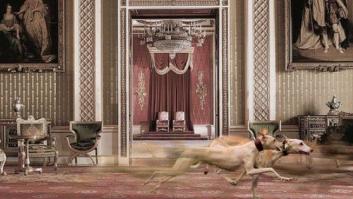 Abran puertas y ventanas. La vida continúa