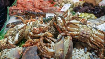 Cómo congelar marisco y ahorrar dinero en Navidad