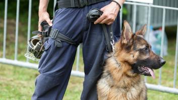Una exhibición de perros policía en un instituto acaba con una incautación de droga y tres alumnos expulsados