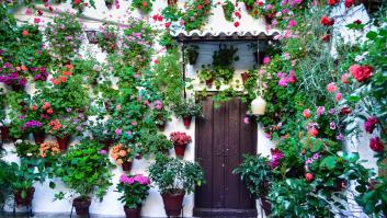 Lo más de lo más: las 19 tradiciones españolas que son Patrimonio cultural inmaterial de la Humanidad