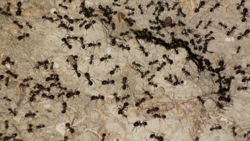 10 lugares en los que jamás debe leerse una buena novela