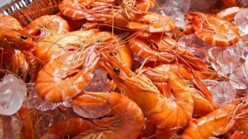 Los nutricionistas no ven riesgo en un consumo moderado de cabezas de gambas