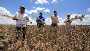 El desarrollo también se come