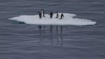 La ONU, SEO/BirdLife y Greenpeace insisten en que todavía se puede revertir el cambio climático