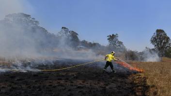 Más de 150 incendios forestales continúan activos en el este de Australia y se acercan a Sidney
