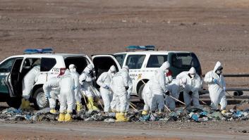 El análisis de los restos hallados no permite vincularlos a Marta Calvo