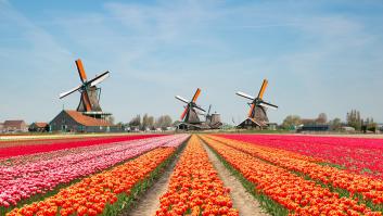 Holanda ya no se llamará Holanda