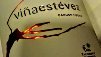 Tenerife, vinos volcánicos