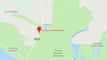 Estabilizado el incendio que se había declarado en Doñana