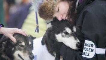 Bichinos en acción en Iditarod, la carrera de trineos tirados por perros más dura del mundo (FOTOS)