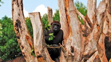 Los mejores lugares de interés de cada provincia española, según TripAdvisor