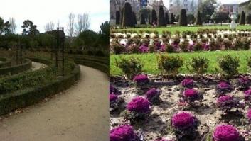 Re-CORRER el jardín del Buen Retiro