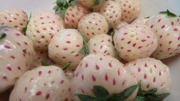 Por qué las fresas blancas son de ese color y qué propiedades aportan