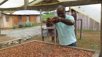 Adiós al glifosato en Colombia, bienvenida la paz