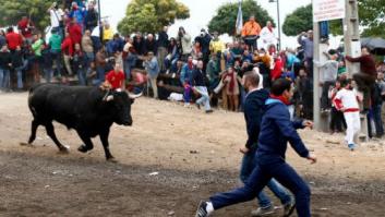 Tordesillas, condenado por la celebración irregular del Toro de la Vega