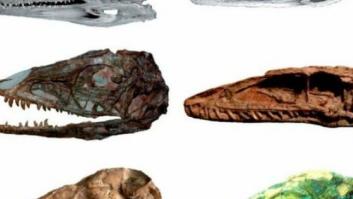 Aves con cerebro de dinosaurio