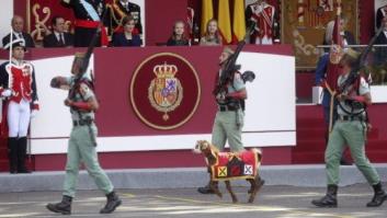 Las teorías en Twitter sobre el nombre de la cabra de la Legión: Pablo