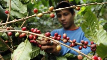 'Glamour' en la ONU, pero menos de un céntimo de euro para los Objetivos de Desarrollo Sostenible