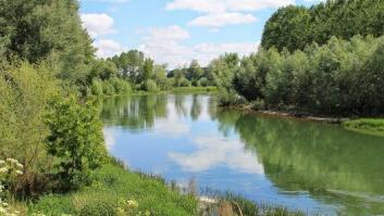 El mundo visto a través del agua: 10 impresionantes fotos de reflejos