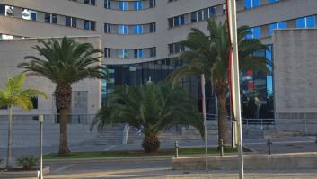 Milagros: la testigo más especial nunca vista en el juicio por maltrato a una perra