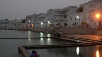 Los perros de Pushkar