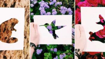 Con una hoja de papel y su amor por la naturaleza, este artista de Instagram crea las siluetas perfectas