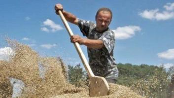 Ucrania en la vida de Europa: qué de lo ucraniano hay en su mesa