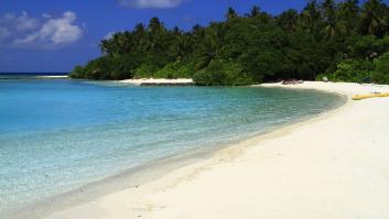 Se buscan cinco candidatos para pasar dos meses en Las Bahamas con todo pagado: estos son los requisitos