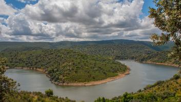 Estar en medio (por el fin del trasvase)