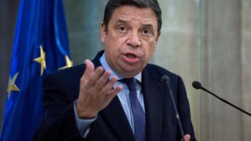 El Gobierno reformará la Ley de cadena alimentaria y debatirá la venta a pérdidas