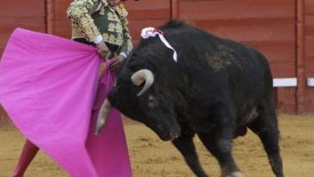 El número de festejos taurinos desciende un 12% en 2012 y acumula una caída del 40% en los últimos cinco años