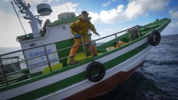 Anisakis: qué es, cómo afecta a la salud y en qué pescados anida el parásito