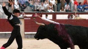 Entregan a Educación 430.000 firmas para que retire la FP de Tauromaquia