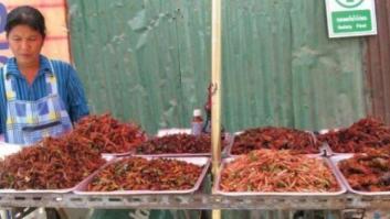 La FAO insta a comer más insectos para combatir el hambre