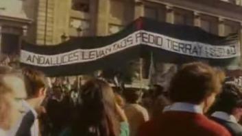 Más Democracia, Más Andalucía