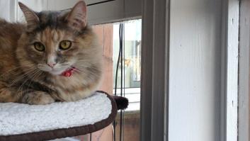 Incredulidad (y muchas risas) con el extraño bulto que encontró en su cama