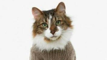 22 de esos Tumblrs molones que ha comprado Yahoo! (GIFS, FOTOS)