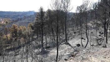 La mala gestión del estiércol en una granja originó el fuego de Tarragona