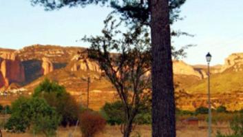 El sufrimiento de la estética