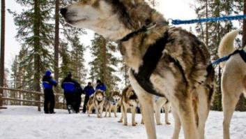La trama Gürtel organizó un viaje a Finlandia a Bárcenas, Sepúlveda y Correa
