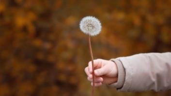 10 cosas que he aprendido después de sufrir cáncer