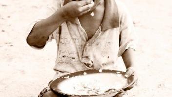 Los bichos del hambre