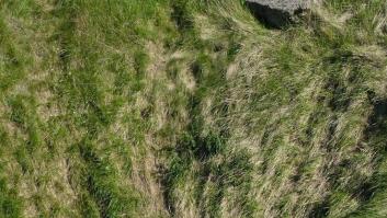 Érase una vez en Normandía