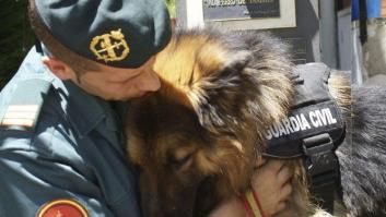 La Guardia Civil destroza el contador de 'me gusta' con esta publicación en Twitter