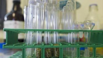 Un estudiante será indemnizado con más de 59 millones de dólares tras quemarse en una clase de química