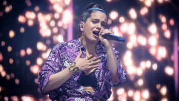 Una tuitera comparte lo que hizo su novio al colarse una paloma en casa y se gana un aplauso generalizado