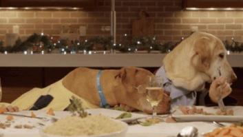 Navidad sin mancha: cómo eliminar las manchas de comida y bebida en nuestra ropa