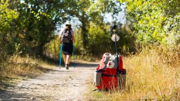 Ocho motivos para NO hacer el Camino de Santiago
