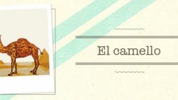 Capítulo XXVII: El camello