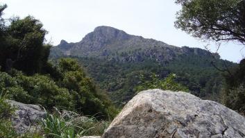 La Sierra de Tramontana, el patrimonio quemado por el fuego (FOTOS)